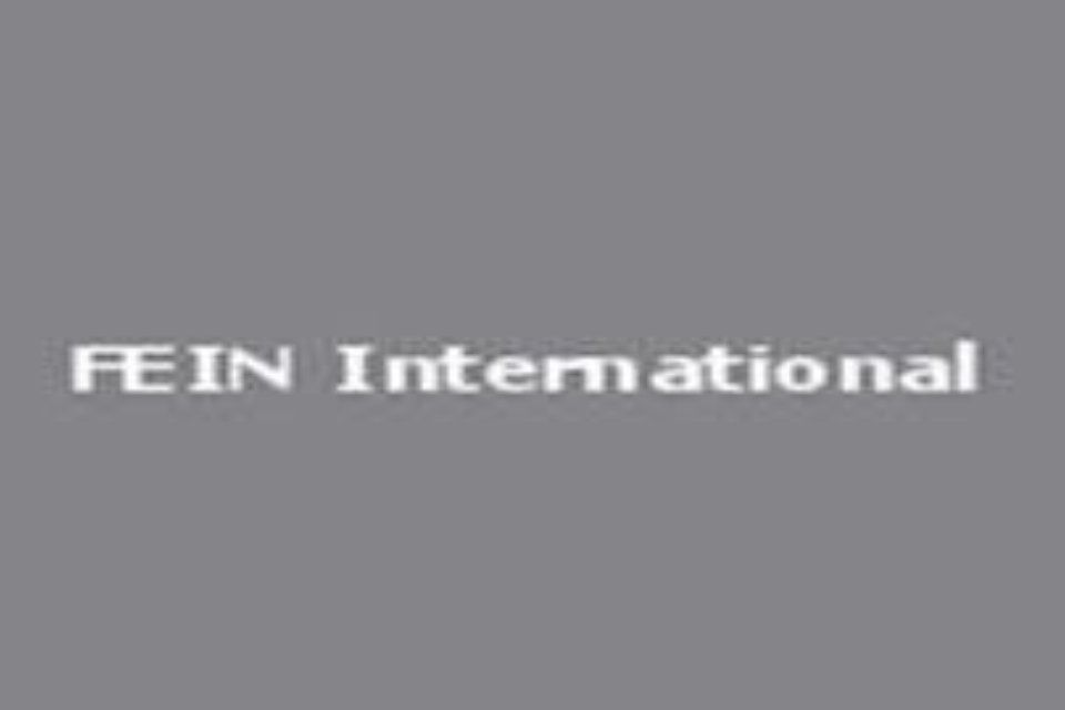 Fein logo