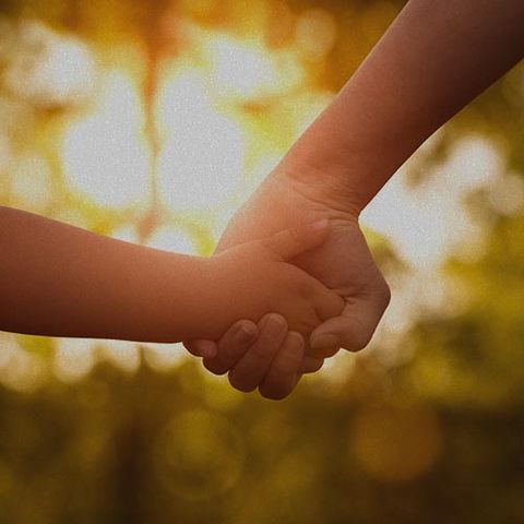 Mother's and a child hands - Attorney in Saint Petersburg, FL Mother's and a child hands - Attorney in Saint Petersburg, FL