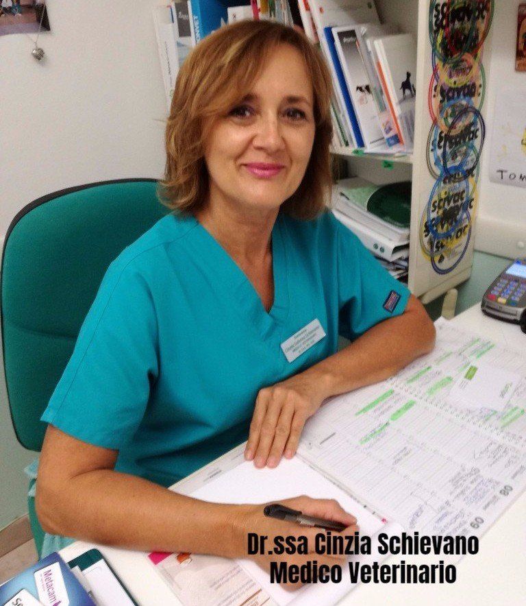 Veterinario