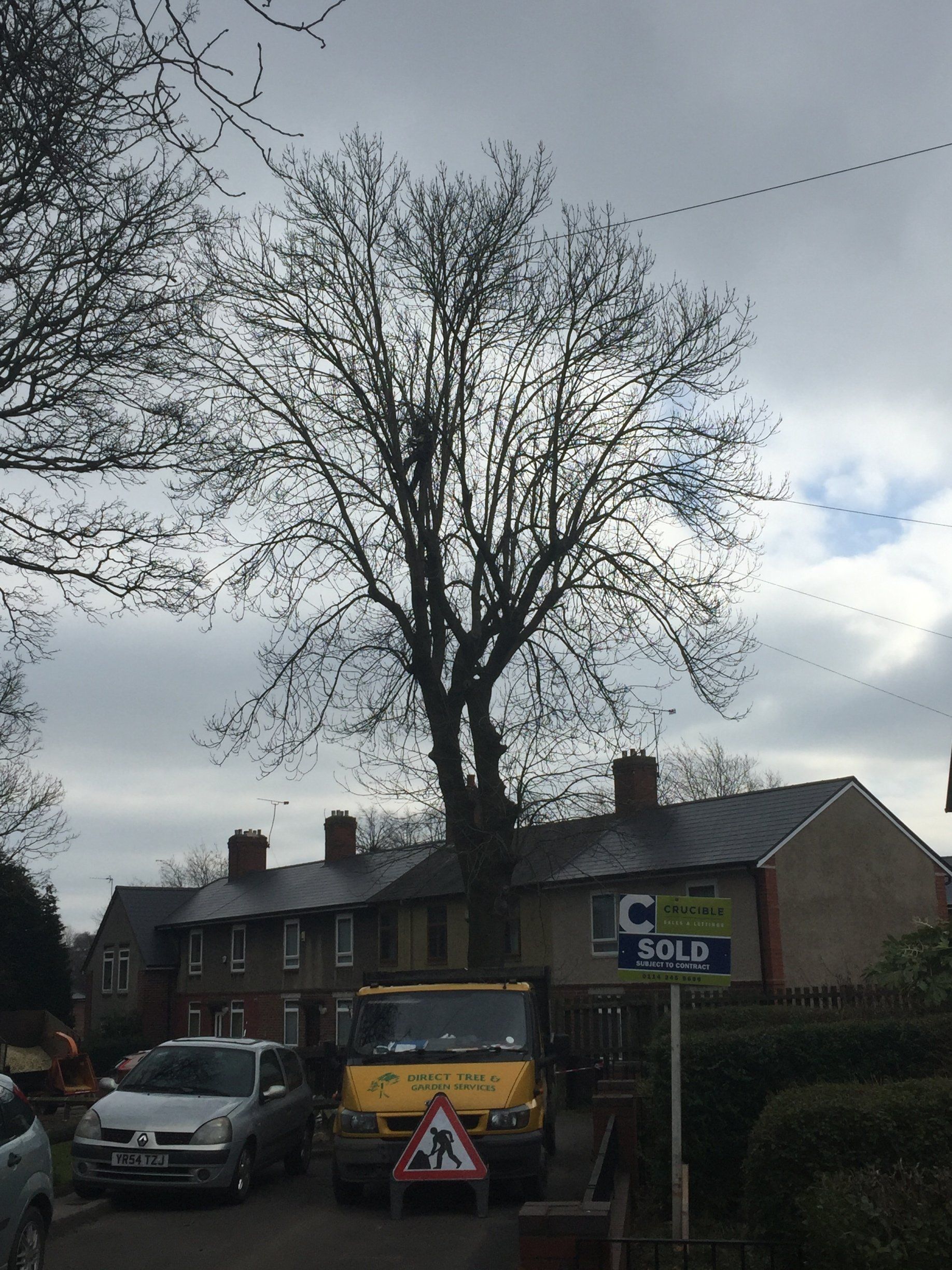 A yellow truck is parked in front of a tree.