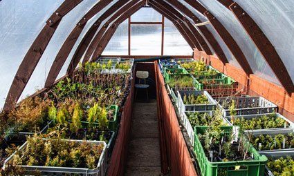 Our horticultural work