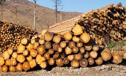 A pile of logs and woodchip for sales