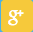 Google+