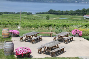 atwater-estate-vineyards-(1)