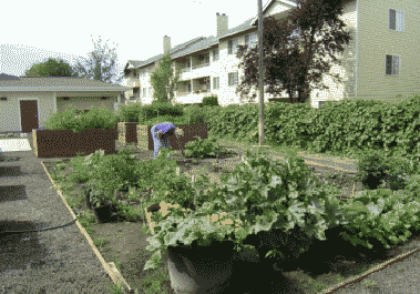Lilac Terrace Garden Area — Retirement Communities  in Spokane, WA