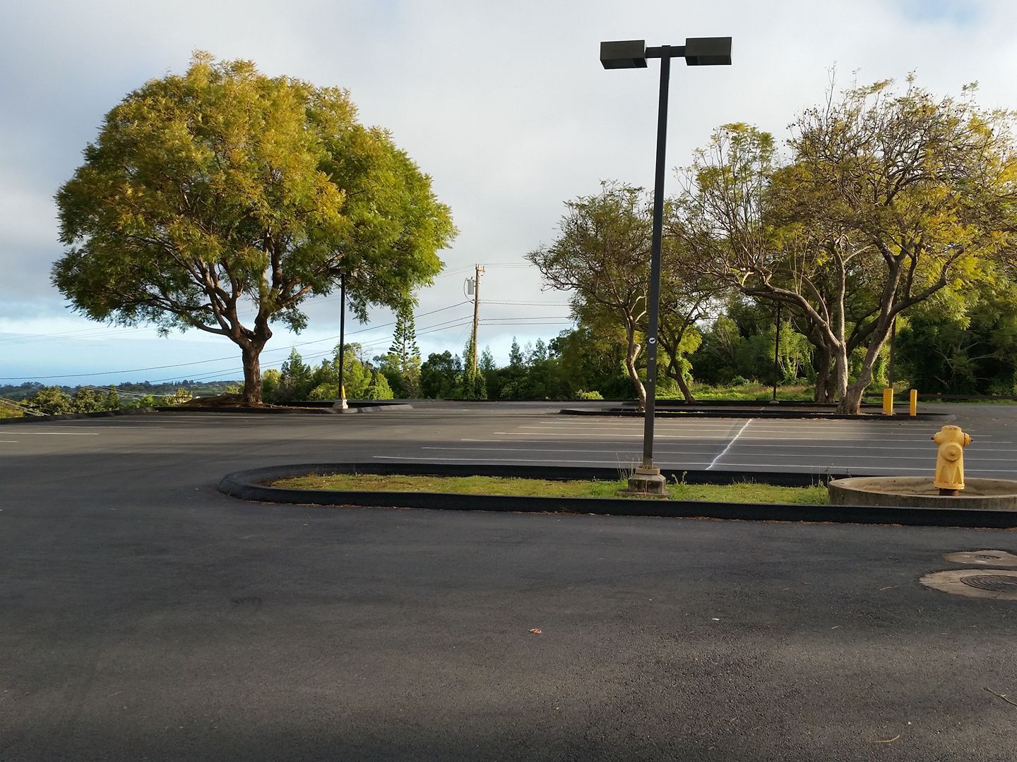 Sonny Vick's Parking lots and driveways