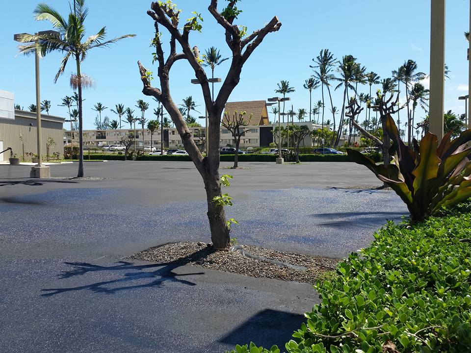 Sonny Vick's Parking lots and driveways