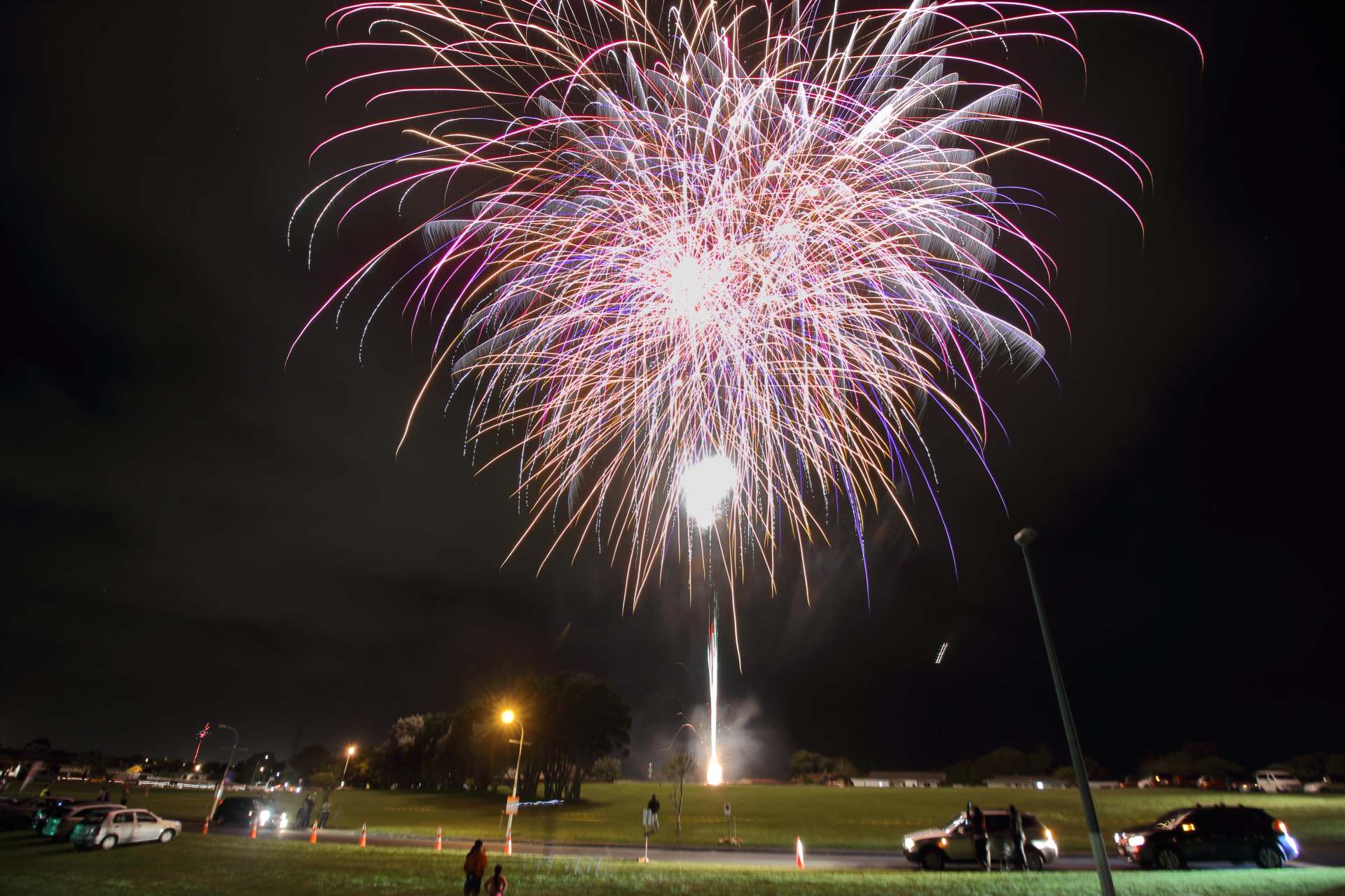 A fireworks display is taking place in a park at night.
