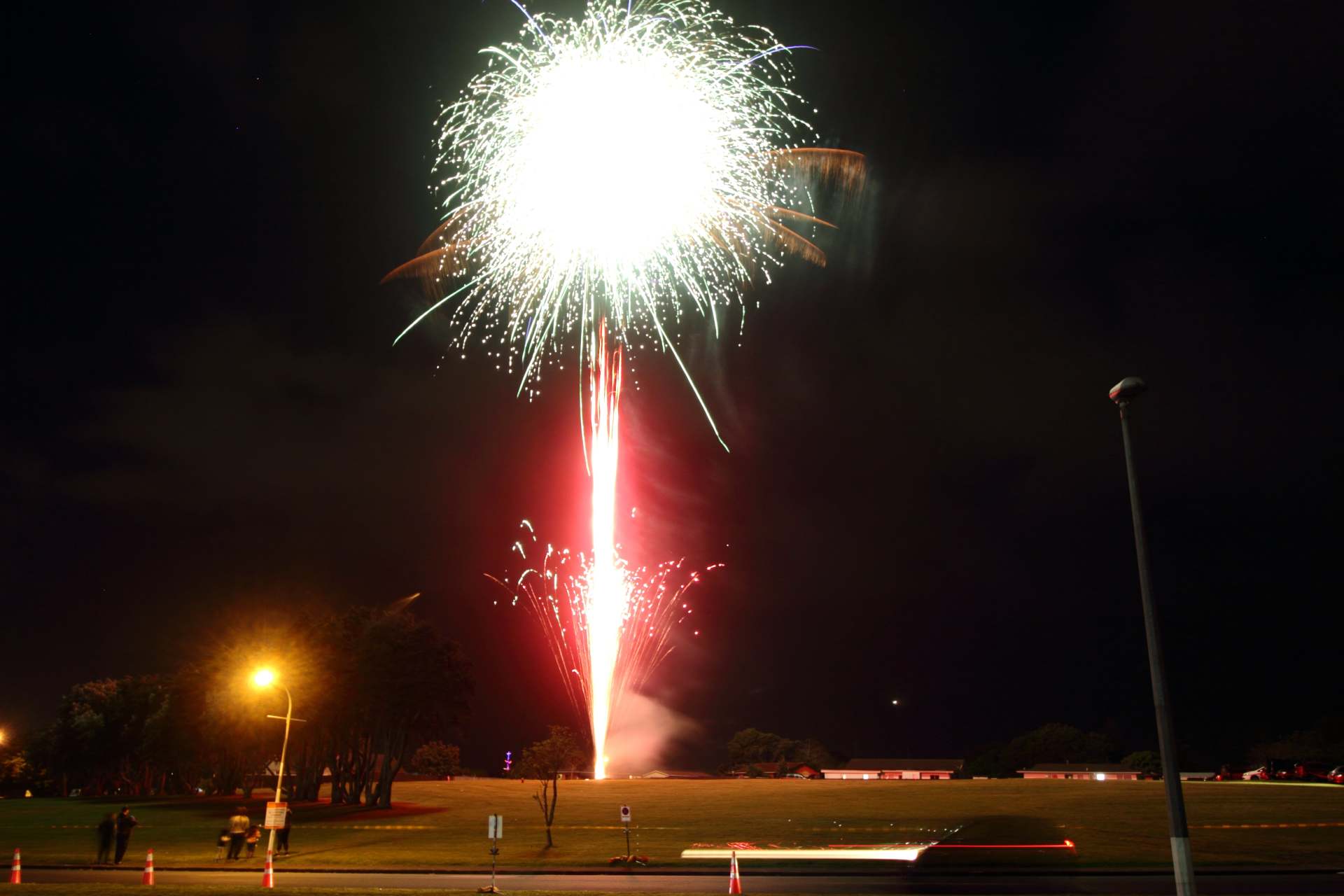 A fireworks display is going off in the night sky