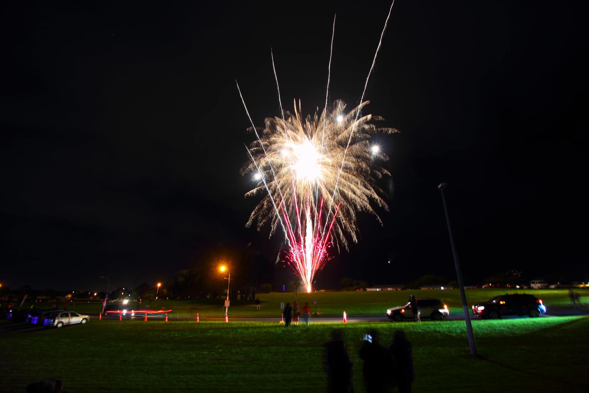 A group of people are watching a fireworks display in the night sky.