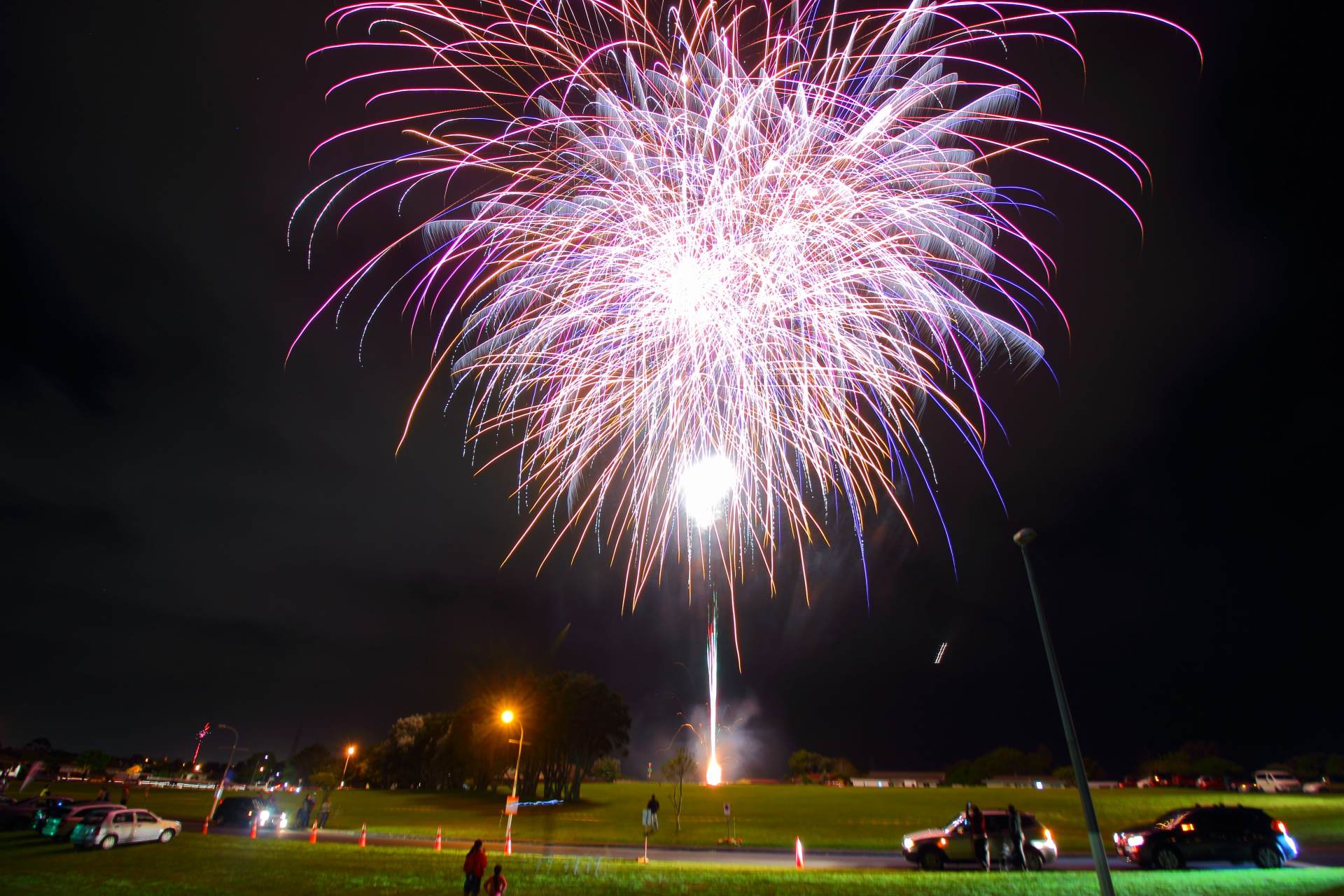 A fireworks display is taking place in a park at night.