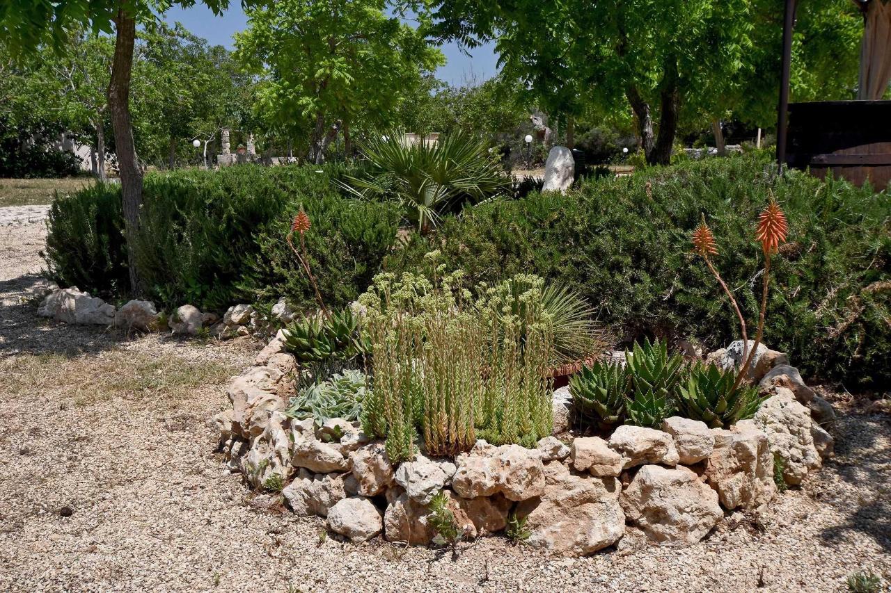 giardino con laghetto