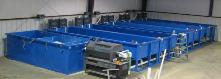 aquaculture tanks, aquaculture systems, aquaponics system