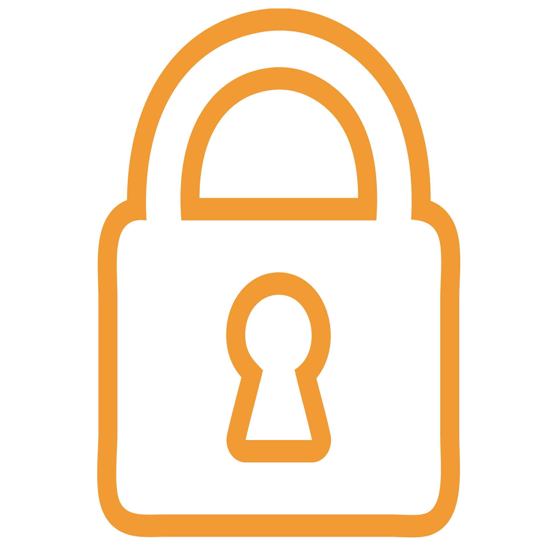 security icon