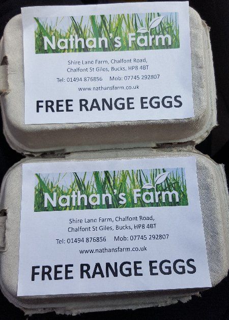eggs from the farm