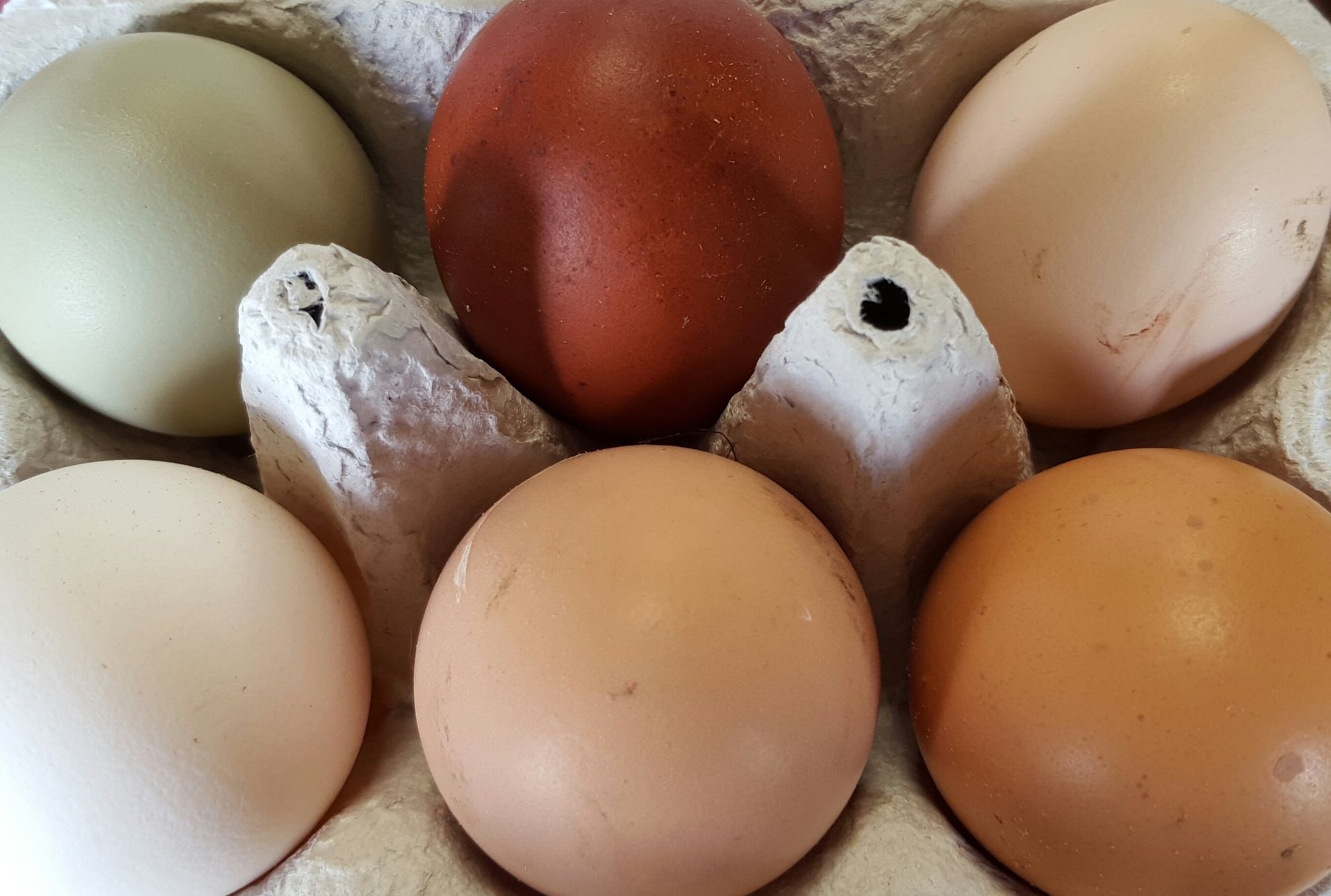 farm products