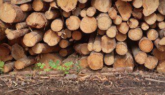 log supply