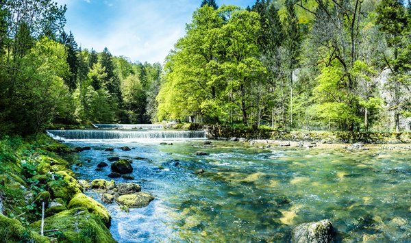 River with small falls — Wallingford, CT — Alternative Paths Consulting LLC River with small falls — Wallingford, CT — Alternative Paths Consulting LLC