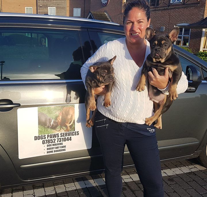 Dogs Paws Services based in Essex Mayland