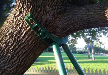 tree brace