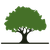 tree icon