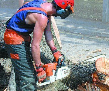 Tree surgery