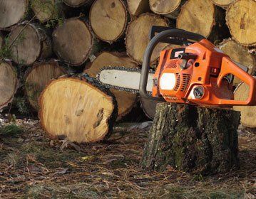 commercial tree services