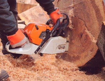 tree care specialists