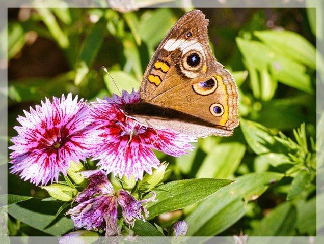 Thankfulness Michael Kroth Profound Living