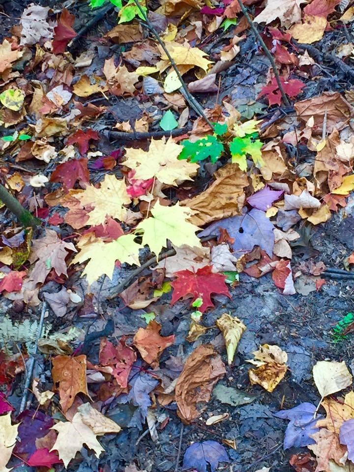 Changing Seasons, Lasting Lessons. Profound Living. Michael Kroth.