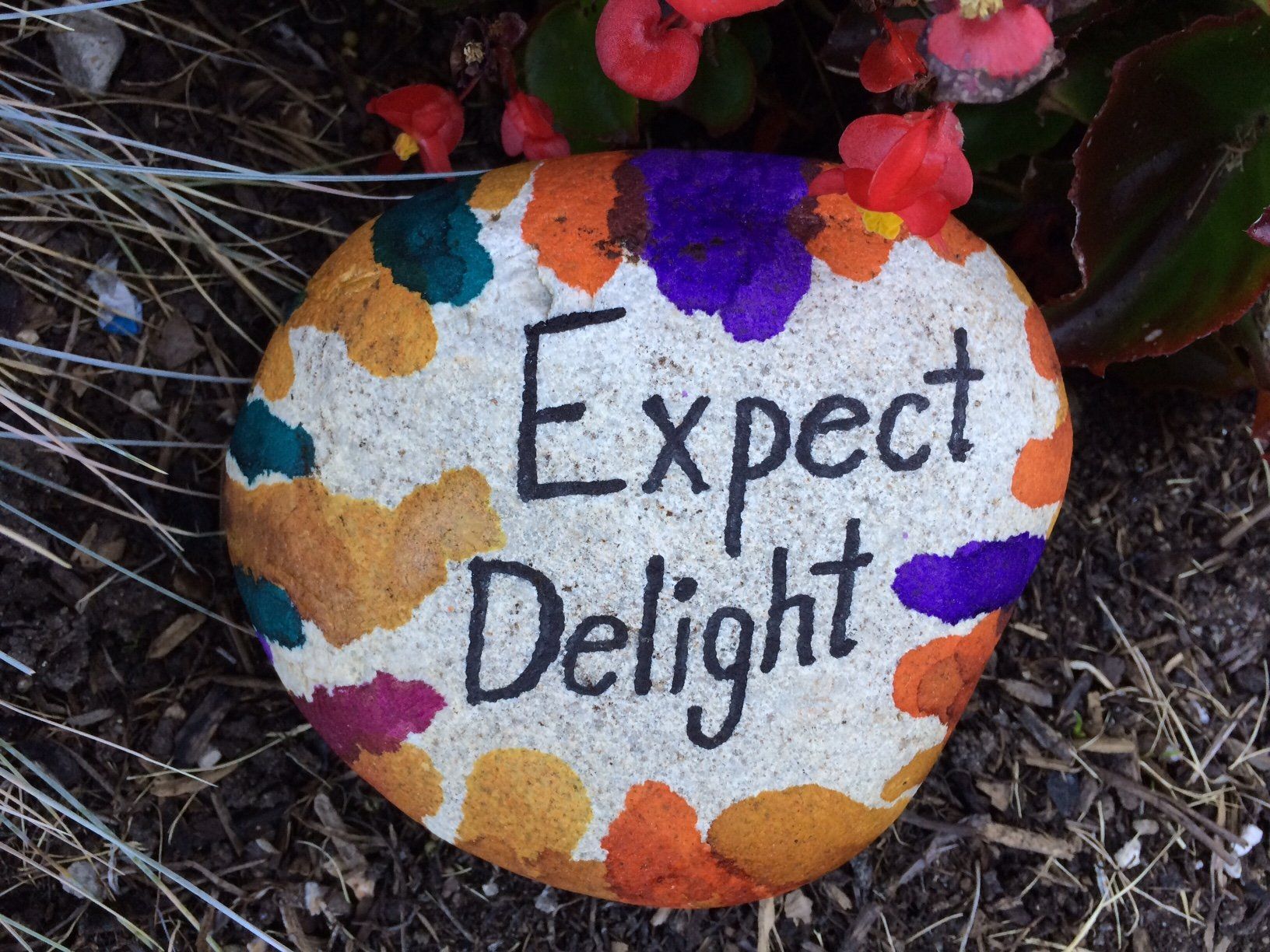 Expect Delight. Michael Kroth. Profound Living