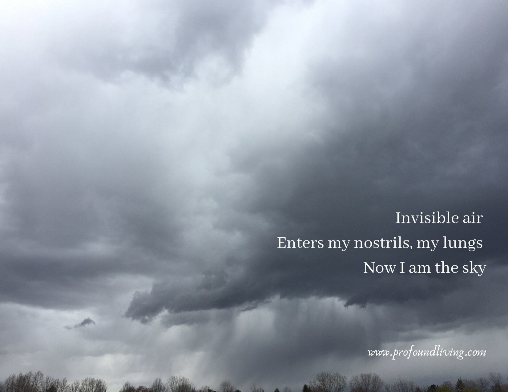 May 2020 Haiku Slider