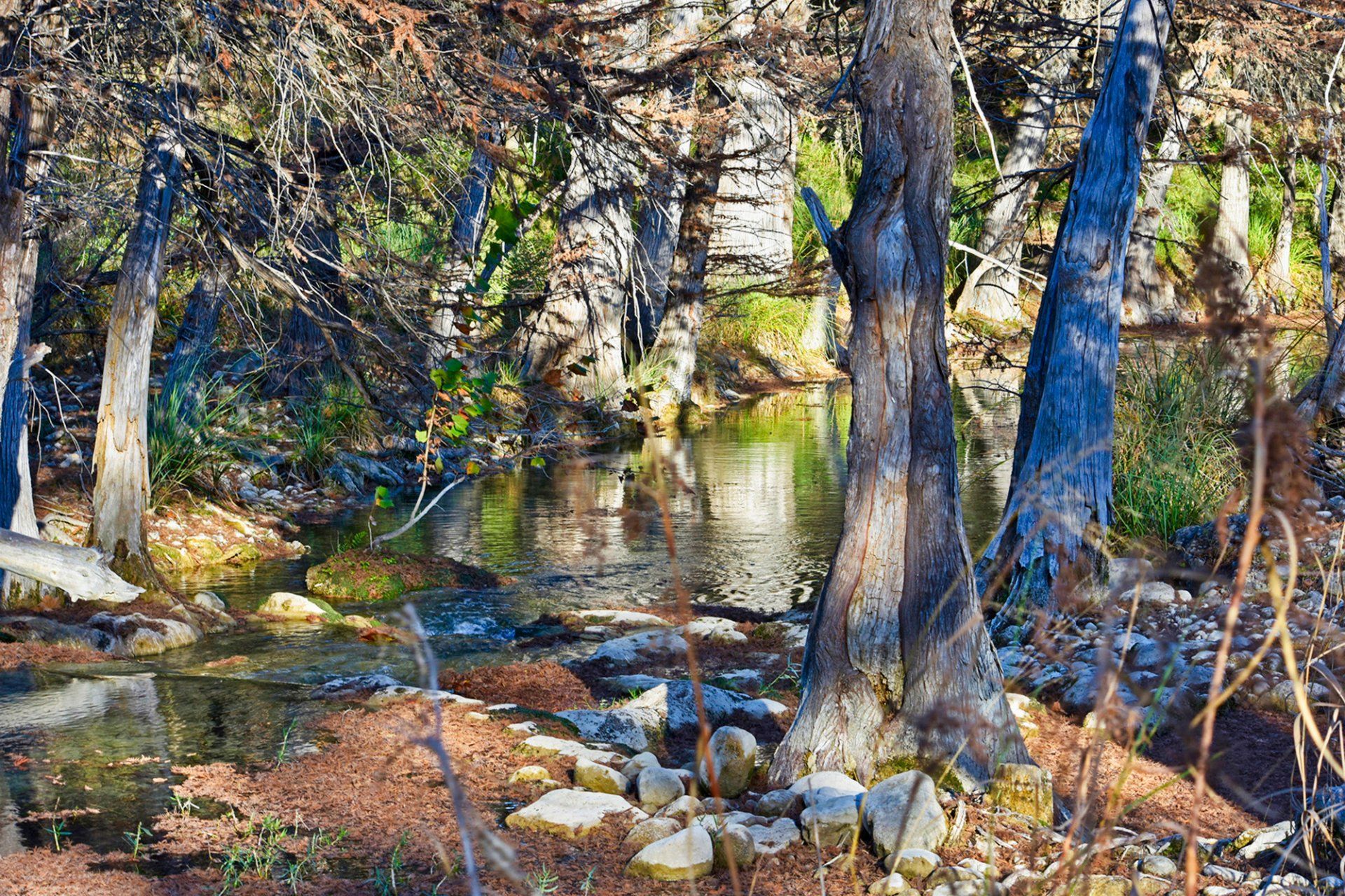 Quiet Pools, Profound Living, Michael Kroth