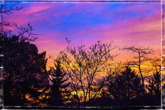 Thankfulness Michael Kroth Profound Living