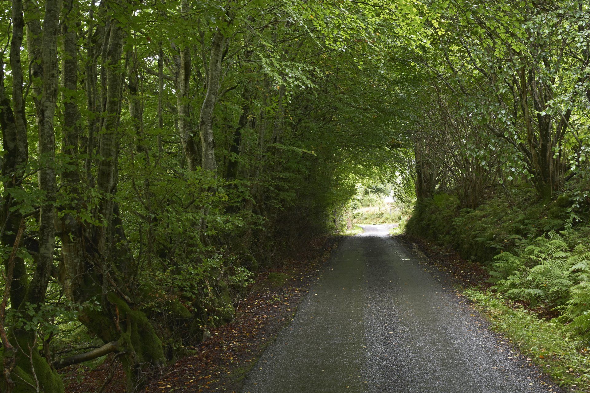 My First Retreat in a Catholic Monastery Profound Living Michael Kroth 