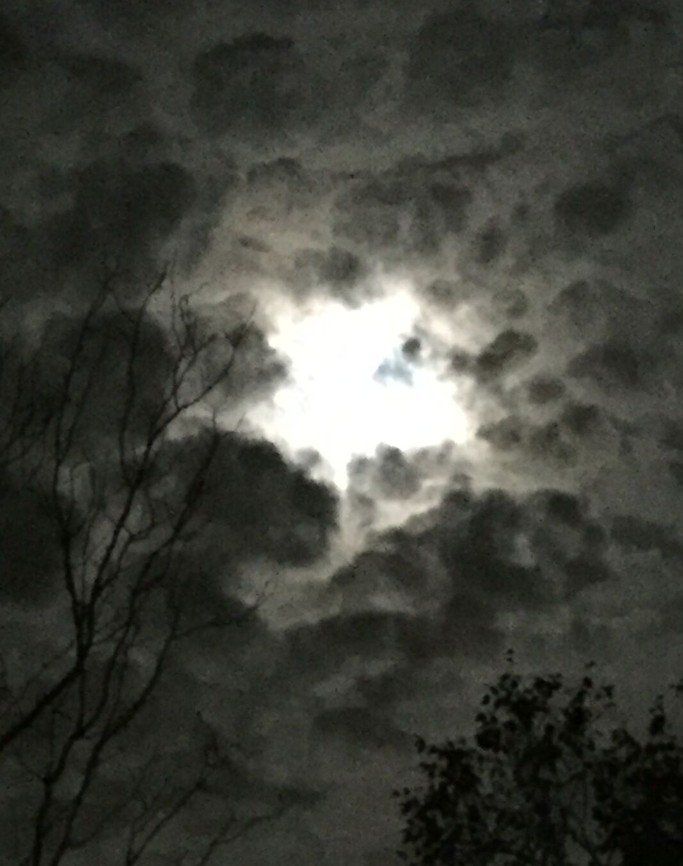 Mikey, The humble photographer. Clouds, night sky.