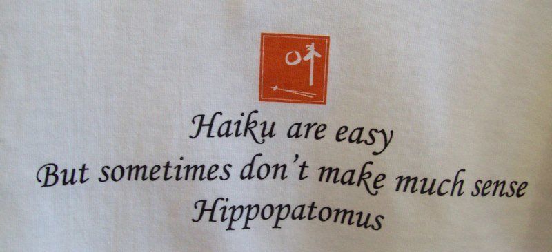 Fun With Haiku. Profound Living. Michael Kroth. 