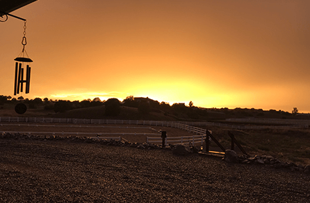 Sunset View — Chino Valley, AZ  — Los Caballos Veterinary Service
