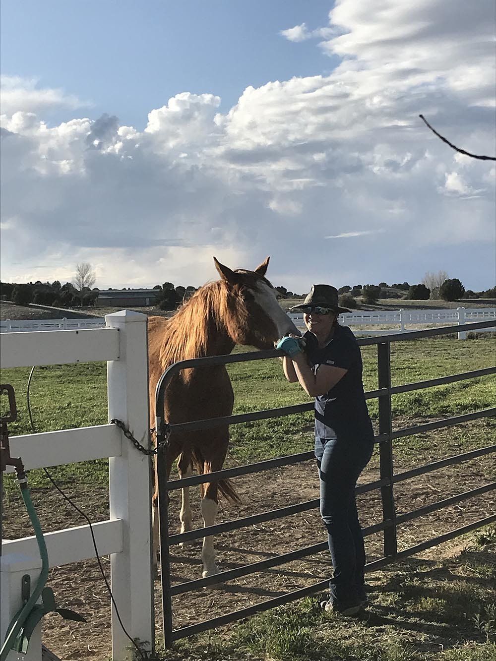 Woman And Horse In The Meadow — Chino Valley, AZ  — Los Caballos Veterinary Service