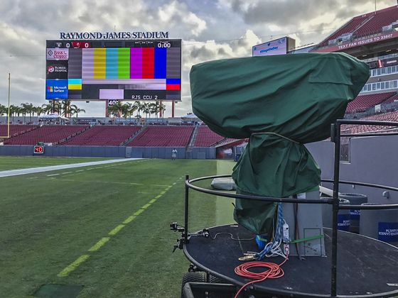 Tampa Bay S7