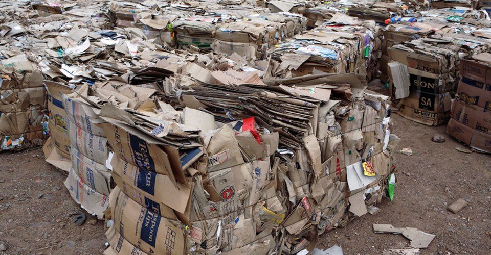 Recycling of Cardboard