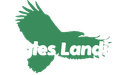 Eagles Landing Logo