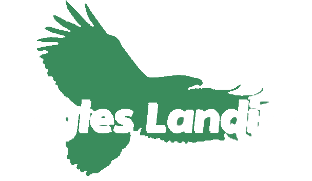 Eagle's Landing logo