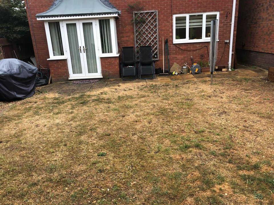 old lawn
