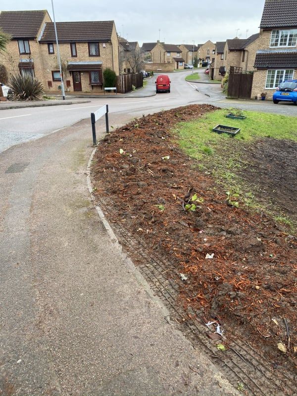 clean and tidy lawn