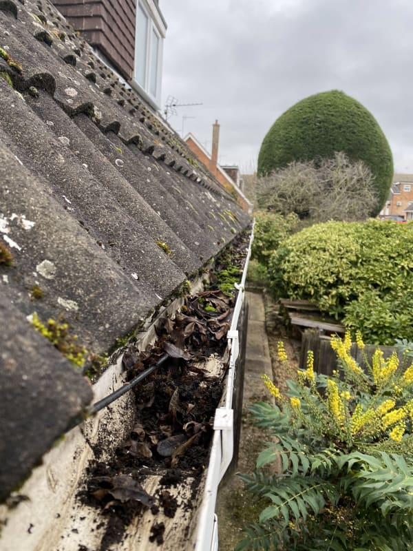 clogged gutter