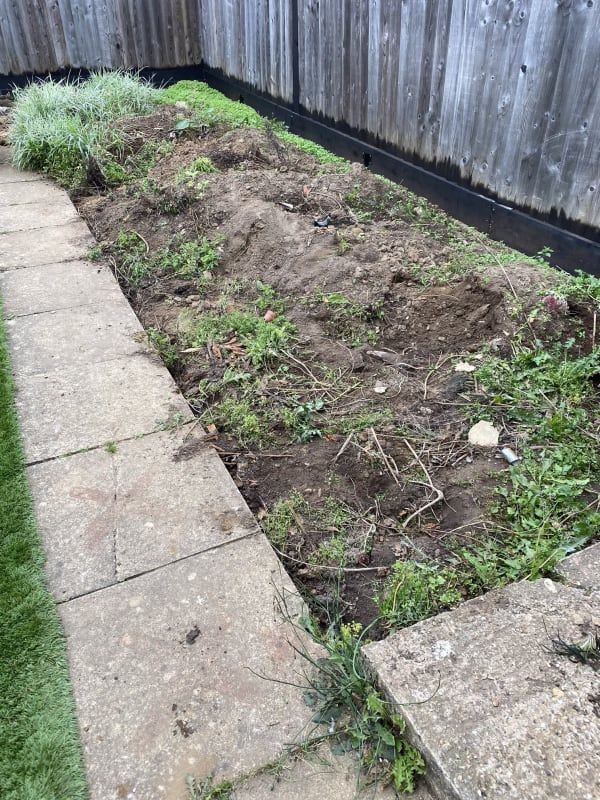 old garden