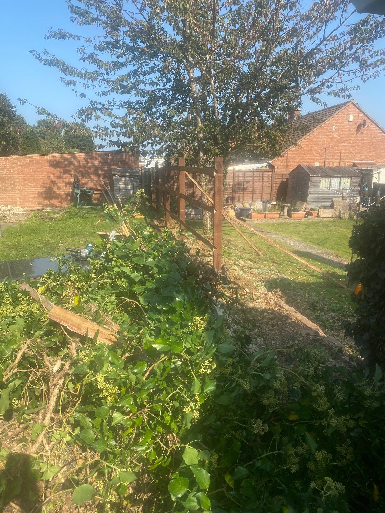 overgrown garden