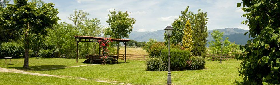 fields in the Tuscan countryside