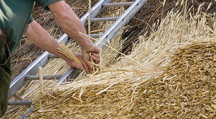Thatching